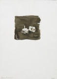 Netsuke 3